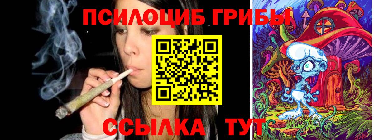 Верхний Уфалей  Псилоцибиновые грибы мухоморы  Галлюциногенные грибы Psilocybe  Вход с VPN 